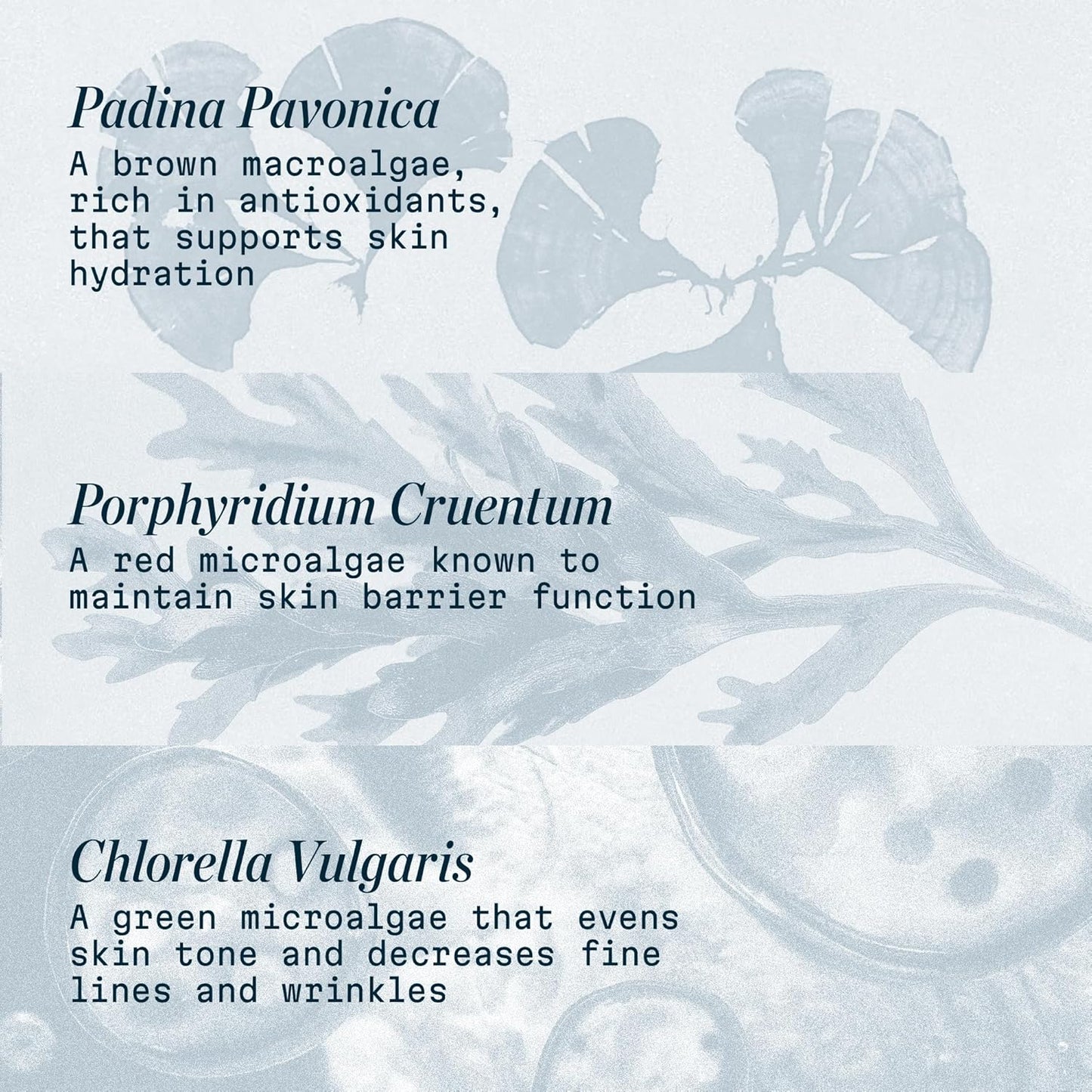 Pro-Collagen Marine Cream SPF 30