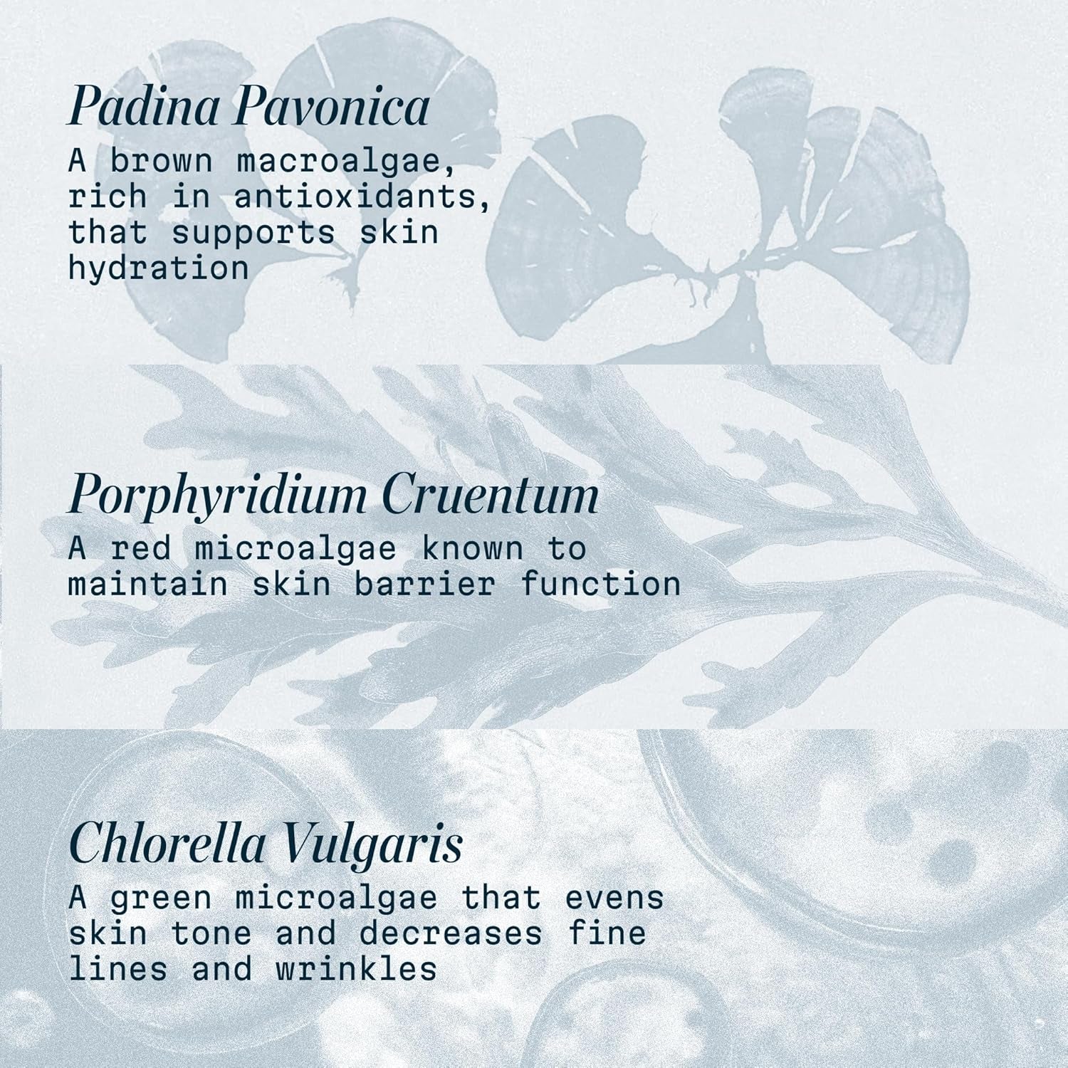 Pro-Collagen Marine Cream SPF 30