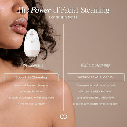Sensa Nano Ionic Facial Steamer