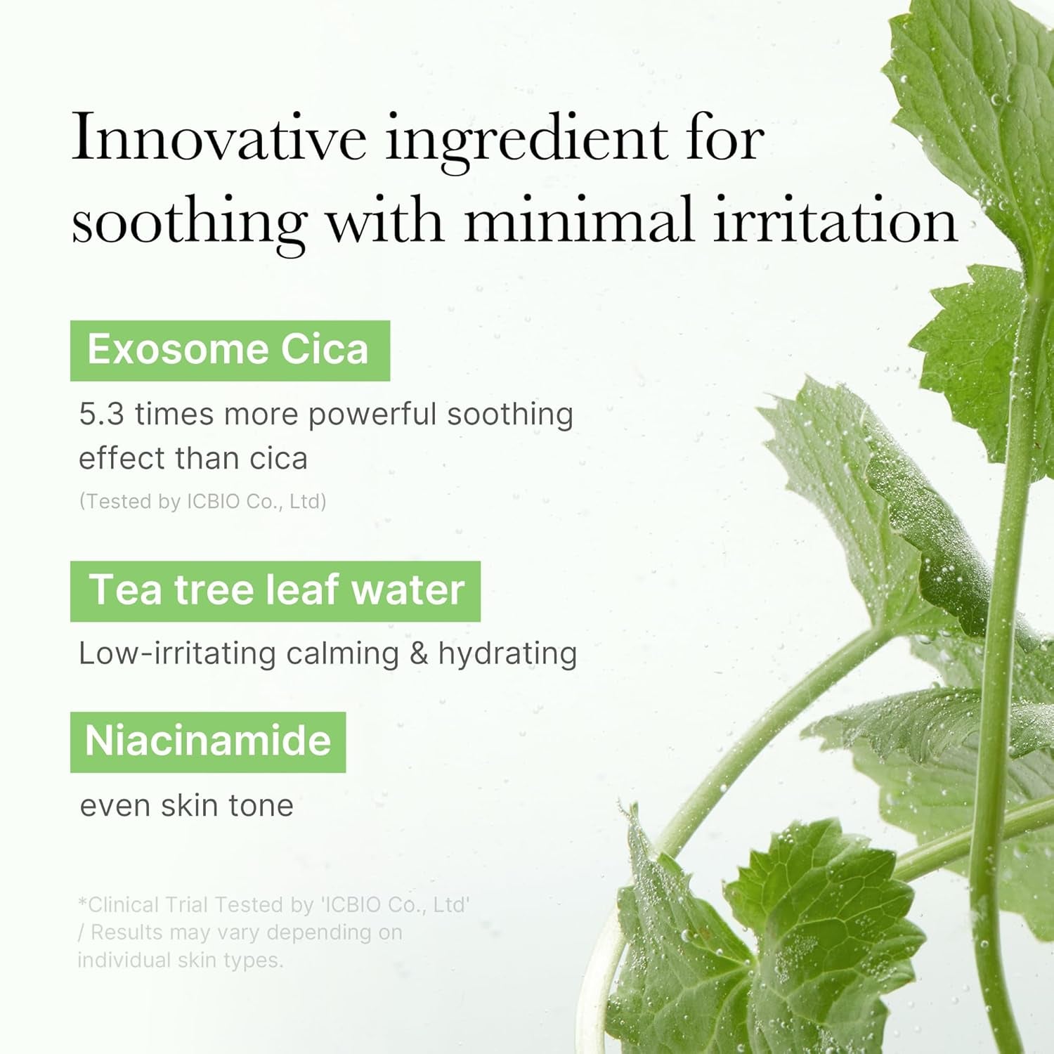 Exosome CICA Calming Toner Pads (100 Pack)