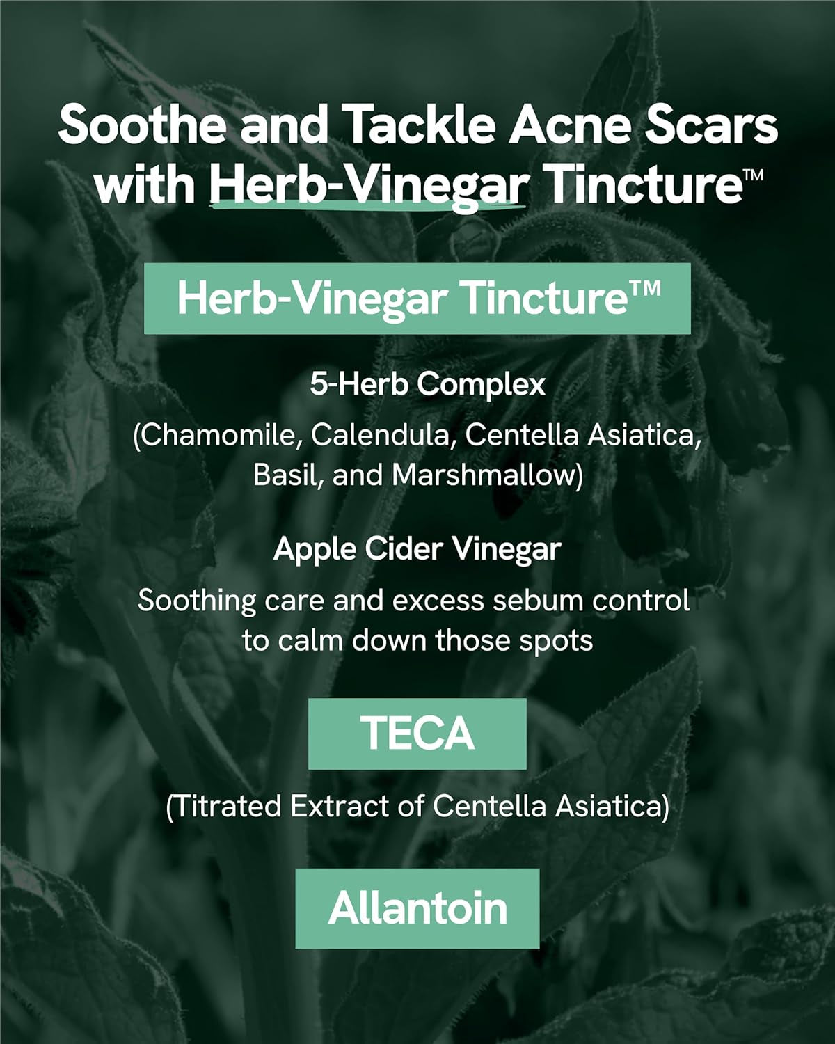 Blemish Treatment (0.7Fl Oz) - Post-Blemish Marks, Correction Korean Skin Care. TECA, Allantoin, Herb-Vinegar Tincture.